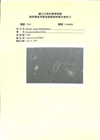 登錄號:UA0101藏品圖，第1張