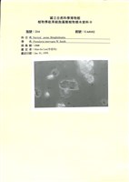 登錄號:UA0102藏品圖，第1張