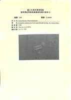 登錄號:UA0103藏品圖，第1張