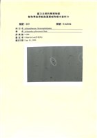 登錄號:UA0104藏品圖，第1張