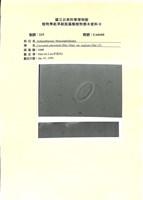 登錄號:UA0105藏品圖，第1張