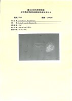 登錄號:UA0106藏品圖，第1張
