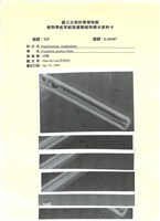 登錄號:UA0107藏品圖，第1張