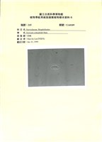 登錄號:UA0109藏品圖，第1張