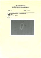 登錄號:UA0110藏品圖，第1張