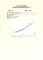 登錄號:UA0111藏品圖，第1張