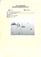 登錄號:UA0112藏品圖，第1張