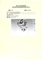 登錄號:UA0115藏品圖，第1張