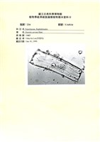 登錄號:UA0116藏品圖，第1張