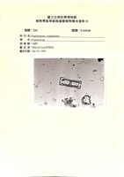 登錄號:UA0118藏品圖，第1張