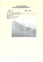 登錄號:UA0119藏品圖，第1張