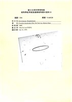 登錄號:UA0120藏品圖，第1張