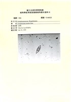 登錄號:UA0122藏品圖，第1張