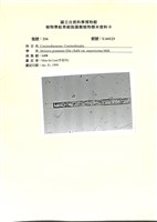 登錄號:UA0123藏品圖，第1張