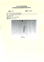 登錄號:UA0124藏品圖，第1張