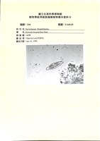登錄號:UA0125藏品圖，第1張