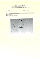 登錄號:UA0126藏品圖，第1張