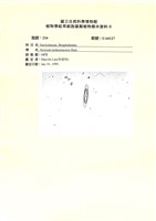 登錄號:UA0127藏品圖，第1張