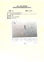 登錄號:UA0128藏品圖，第1張