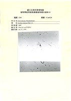 登錄號:UA0129藏品圖，第1張