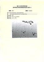 館號:UA0131藏品圖，第1張