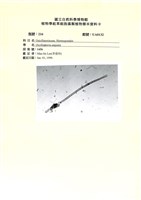 登錄號:UA0132藏品圖，第1張