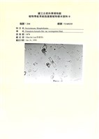 登錄號:UA0133藏品圖，第1張