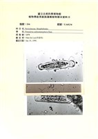 登錄號:UA0134藏品圖，第1張