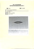 登錄號:UA0135藏品圖，第1張