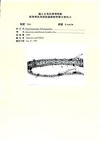 登錄號:UA0136藏品圖，第1張