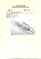 登錄號:UA0137藏品圖，第1張