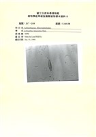 登錄號:UA0138藏品圖，第1張