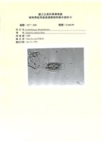 登錄號:UA0139藏品圖，第1張