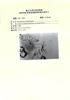 登錄號:UA0140藏品圖，第1張
