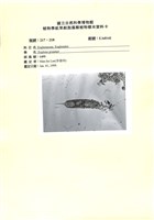 登錄號:UA0141藏品圖，第1張