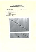 登錄號:UA0143藏品圖，第1張