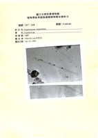 登錄號:UA0144藏品圖，第1張