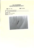 登錄號:UA0146藏品圖，第1張