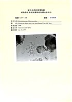 館號:UA0149藏品圖，第1張