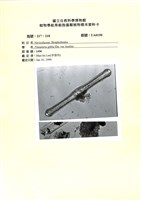 登錄號:UA0150藏品圖，第1張