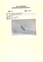 登錄號:UA0153藏品圖，第1張