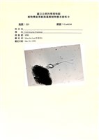 登錄號:UA0154藏品圖，第1張