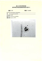 登錄號:UA0155藏品圖，第1張