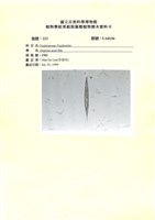 登錄號:UA0156藏品圖，第1張