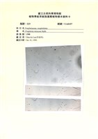 登錄號:UA0157藏品圖，第1張
