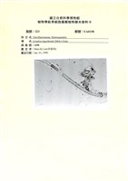 登錄號:UA0158藏品圖，第1張