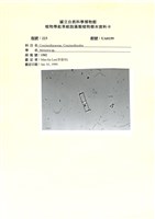 登錄號:UA0159藏品圖，第1張