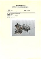 登錄號:UA0160藏品圖，第1張