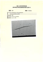 登錄號:UA0161藏品圖，第1張