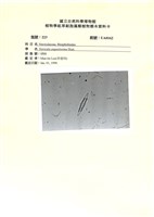 登錄號:UA0162藏品圖，第1張